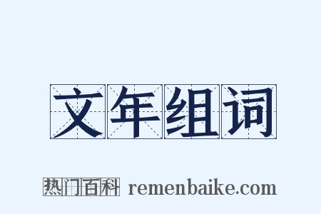 文年组词是什么意思的图片